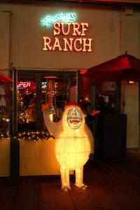 12-13-2014_002